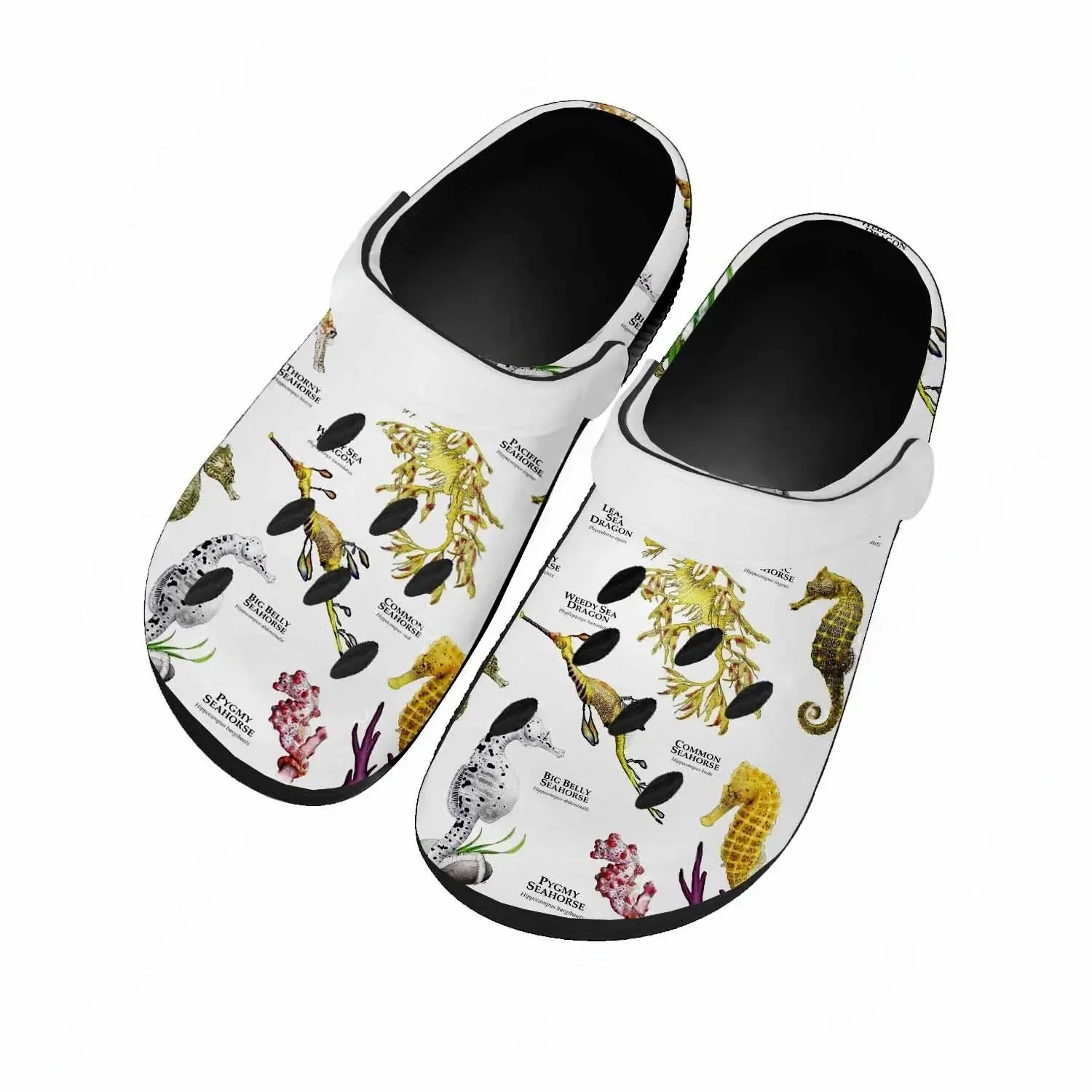 Seahorse Sandals Women Teenage - Men Shoes High review and price