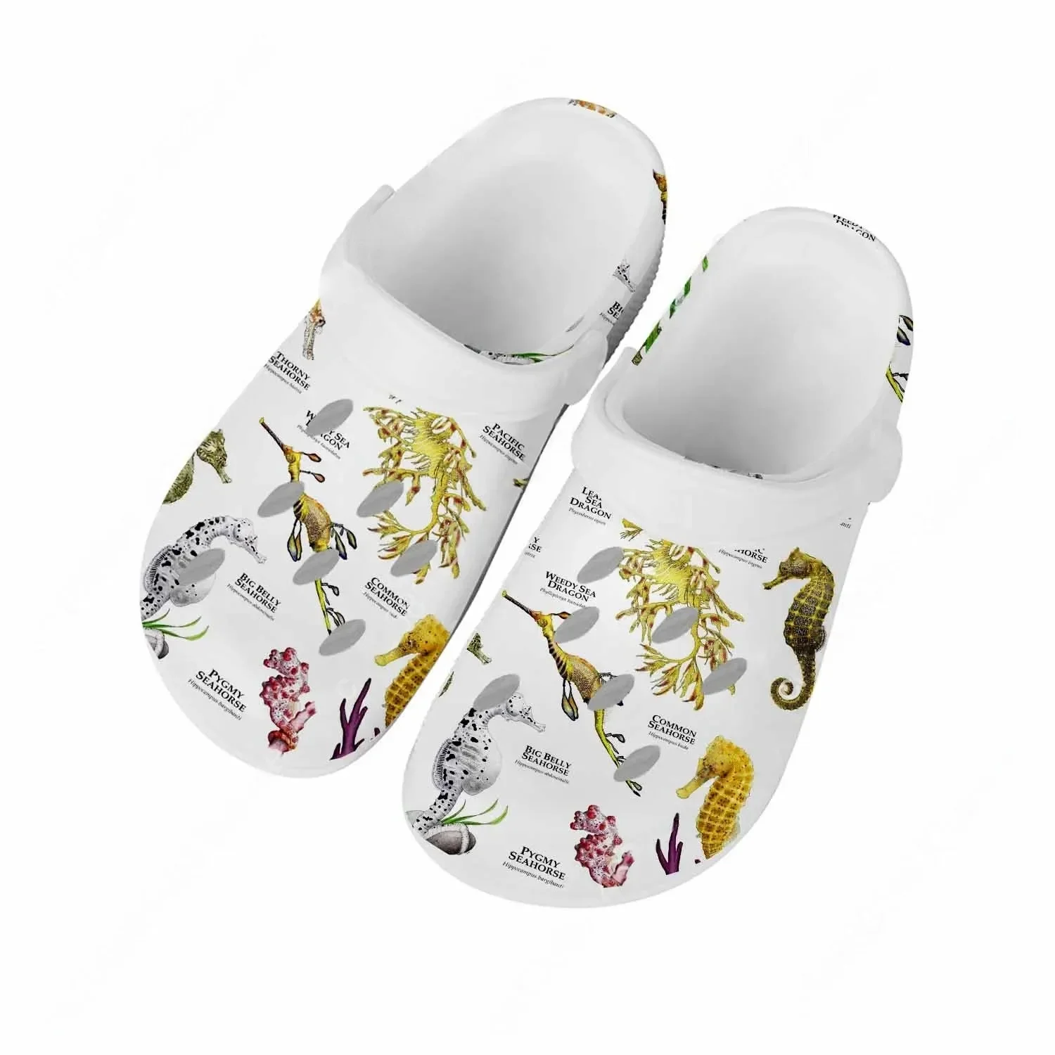 Seahorse Sandals Men Women Tee - Men Shoes High review and price